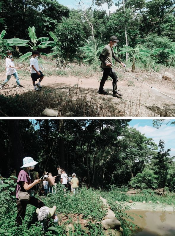 搜尋蟲蟲足跡,漫步來到水邊