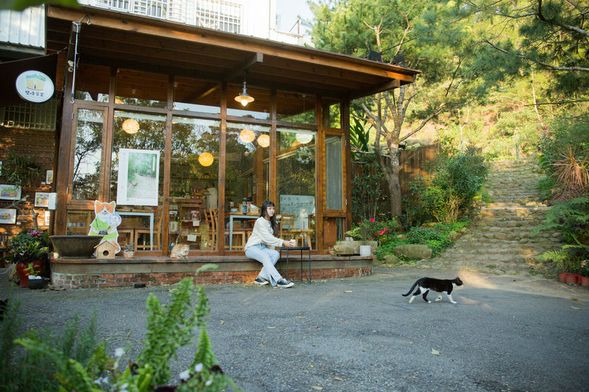 ◖雙峰草堂 銅鑼燒茶屋◗ 前庭集合