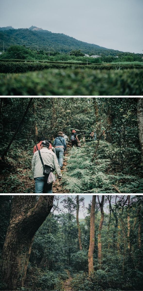 抵達山之入口,尋訪百年山徑