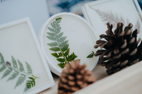 完成專屬植物杯墊