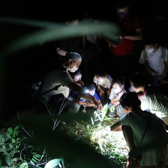 靜心觀察,生命奇蹟正在黑暗中發生