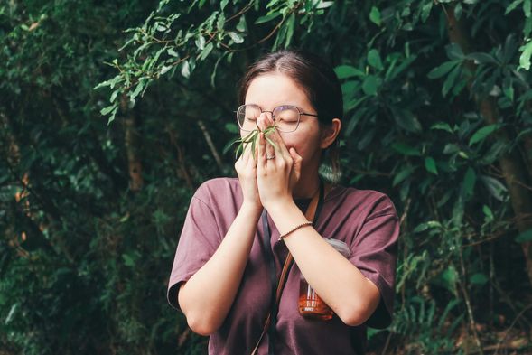 敞 開 。 里山精油,引導嗅聞