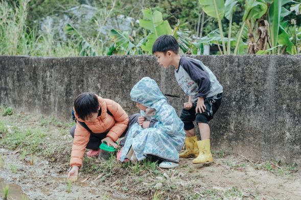 留心觀察,田野裡孕育著各種生命
