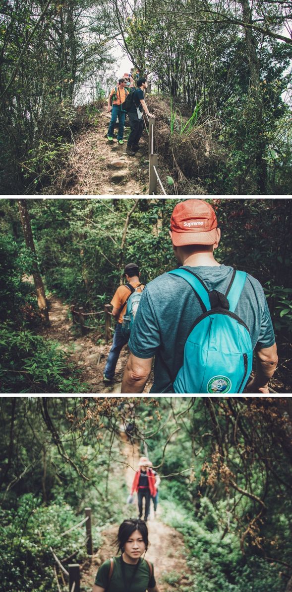 緩步下山,讓山林療癒身心