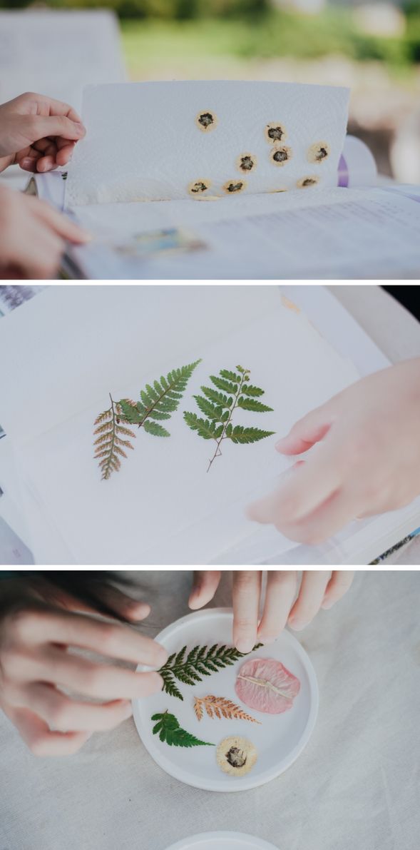 挑選花葉素材,排列構圖