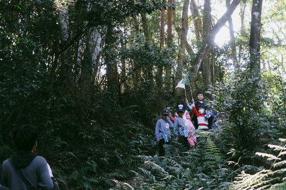 收隊,感謝樹爺爺的陪伴