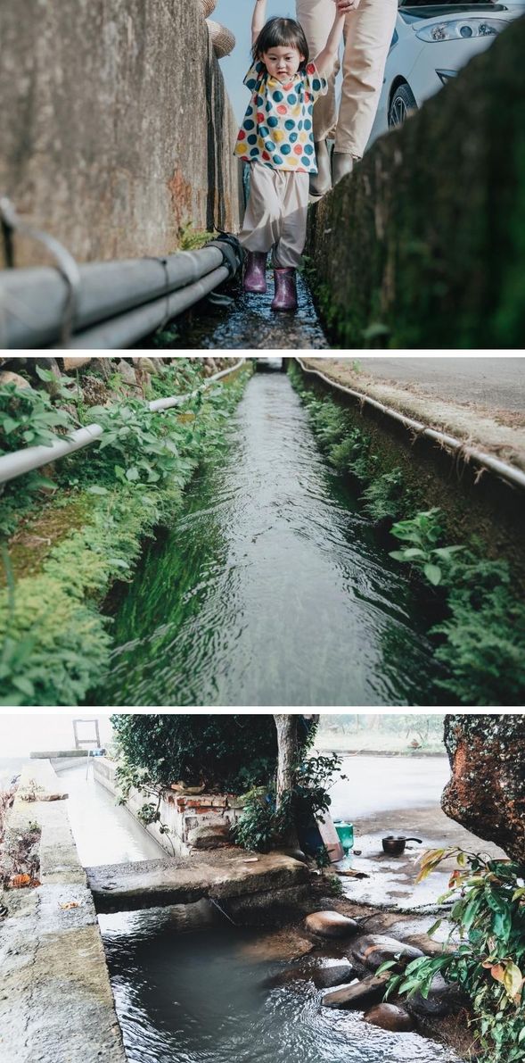 沿著水,觸摸生態,流過生活