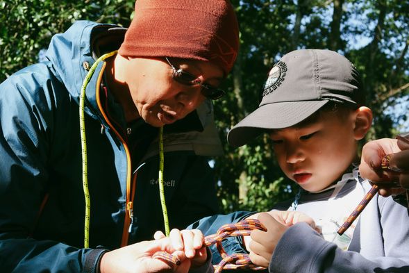 學習繩索技巧,架設攀樹系統