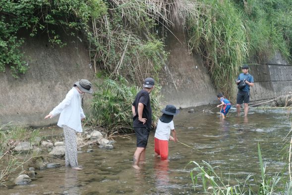 走進沁涼水圳,用漁網輕輕撈起魚蝦與水生昆蟲