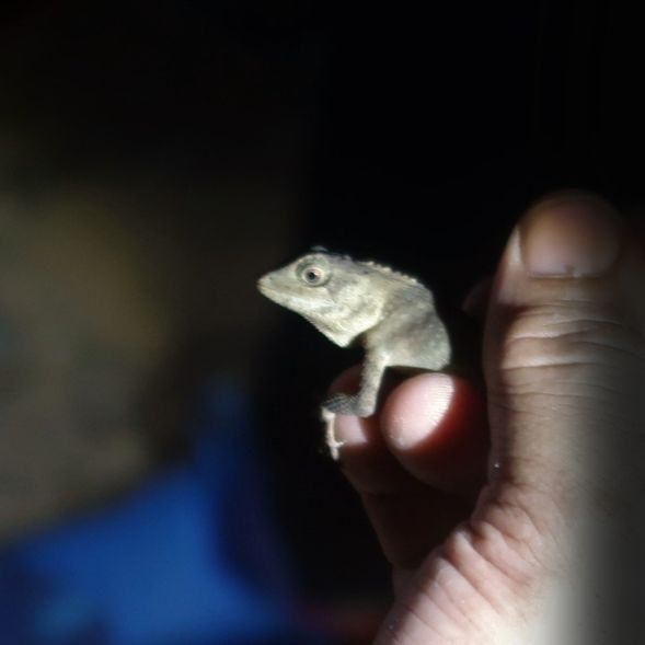 山路上,與小夥伴不期而遇