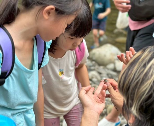 有誰來溪邊作客了呢?