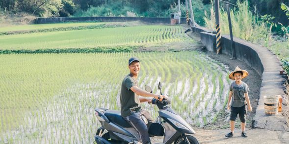 認識友善農法的水稻耕作