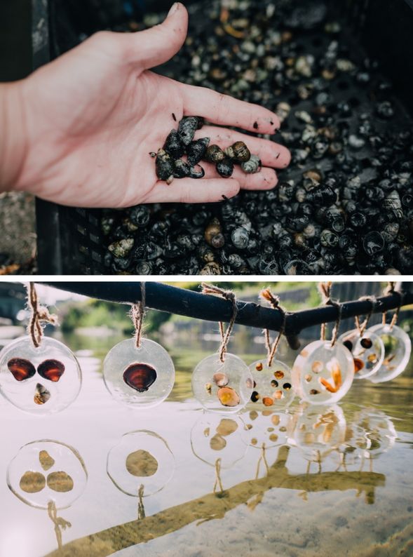 身體力行,移除外來種