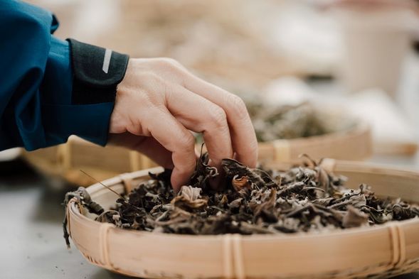 抓取3種氣味,送給不同的自己