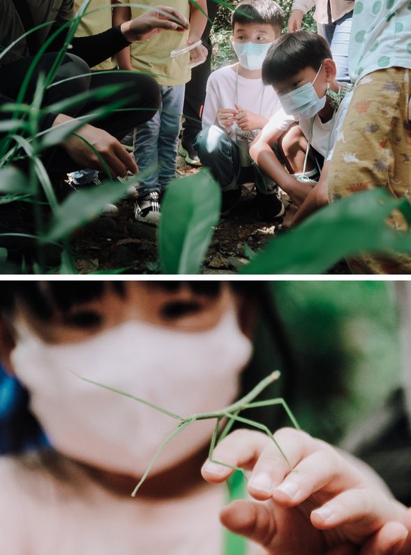 找出隱身草叢的忍者