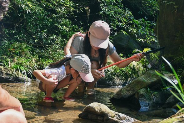 踏進水圳,用漁網輕輕撈起魚蝦與水生昆蟲