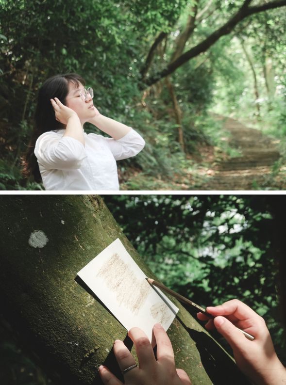 靜心觀察,捕捉森林裡的聲響與光影