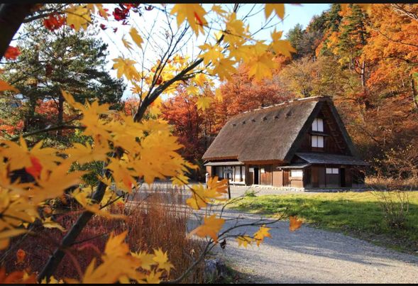 四季折々の風景