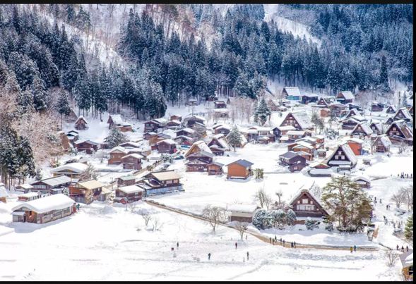 展望台で白川郷合掌造り集落を一望