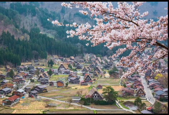 白川郷合掌造り集落に到着(滞在時間約120分)