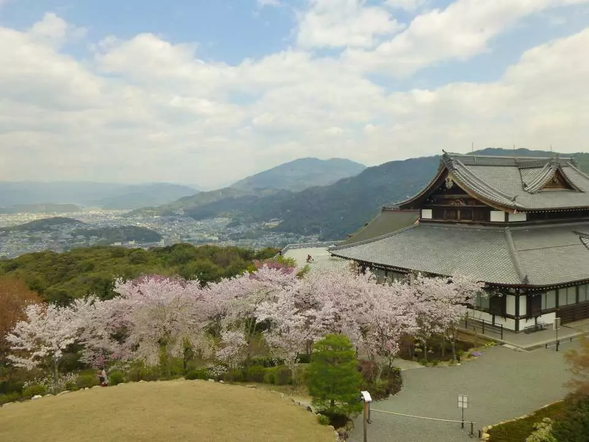 将軍塚青龍殿(約50分)※4/2は青龍殿の拝観不可。大舞台と庭園のみの拝観となります