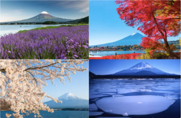 河口湖に到着・観光:約90分間