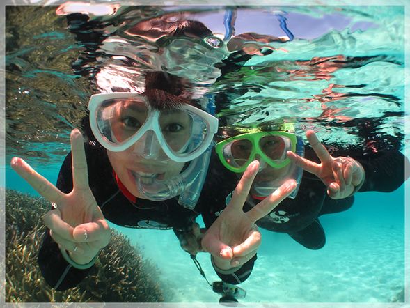 シュノーケリング約50分2本