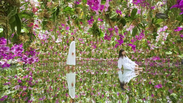 Floating Flower Garden: 花と我と同根、庭と我と一体