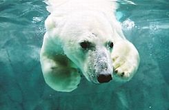 プレミアホテル中島公園札幌 1階ロビー