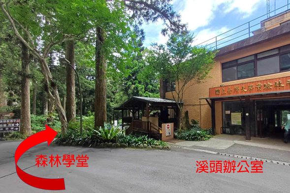 森林學堂位於溪頭辦公室後方