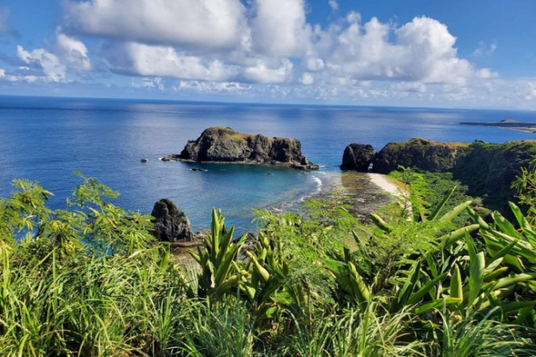 哈巴狗與睡美人