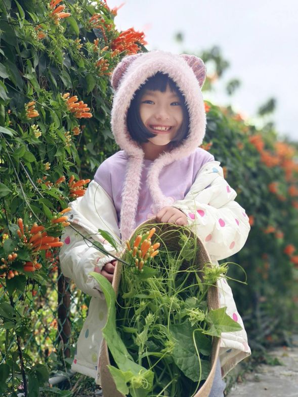 Welcome to pick fresh, natural dragon beard vegetables next to the cabin to enhance tonight's meal.