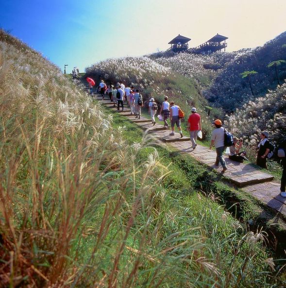 14:00~14:30 草嶺古道遠望坑口搭乘芒花專車前往石城風景區