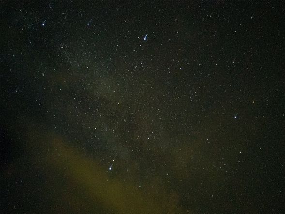 2020金針花季這樣玩》花蓮台東賞花行程懶人包、交通接駁車、民宿推薦全攻略 - 第12張圖 六十石山之夜 (觀星、賞燈、賞夜金針)