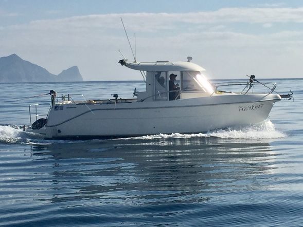 出發前往太平洋感受無拘無束的大海