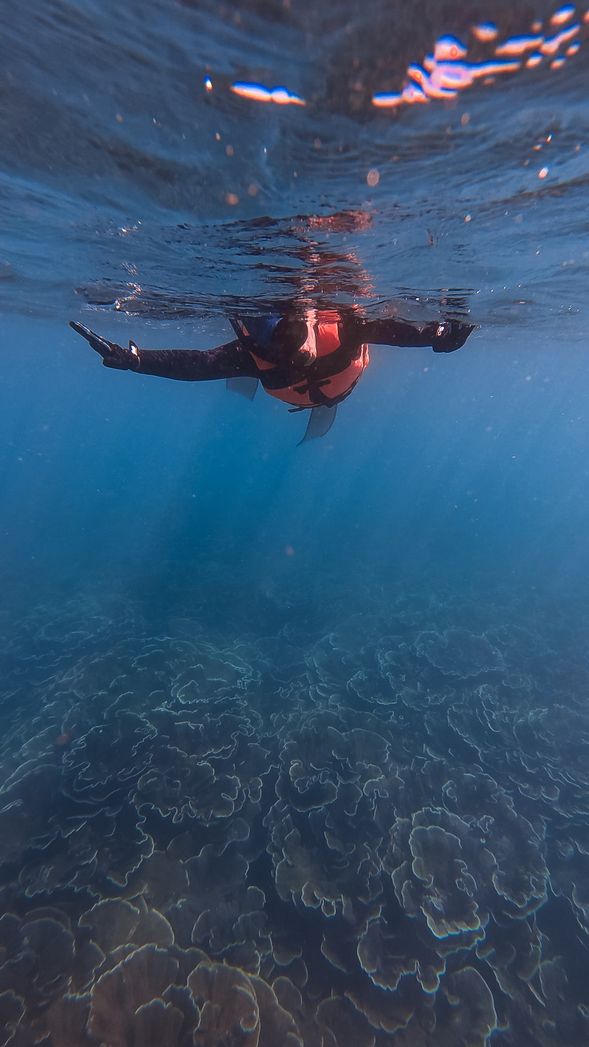 浮潛