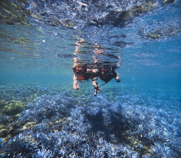 浮潛