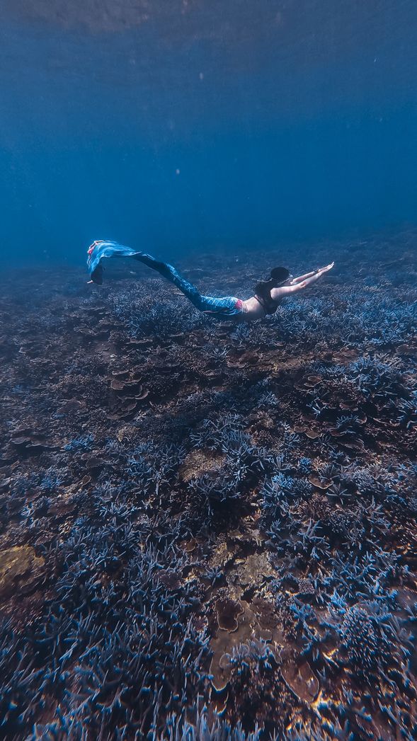 人魚裝體驗