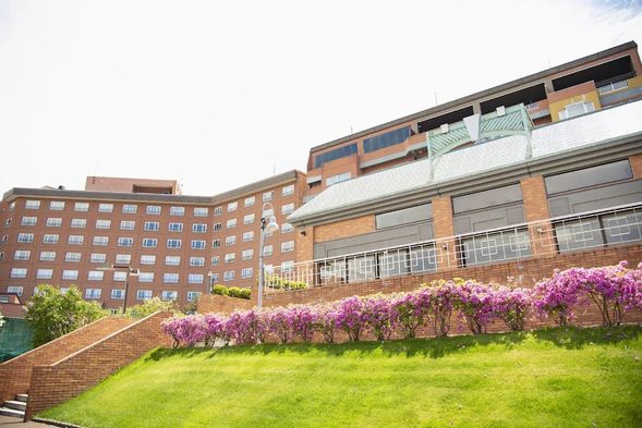 洞爺湖萬世閣湖畔露台飯店Toyako Manseikaku Hotel Lakeside Terrace