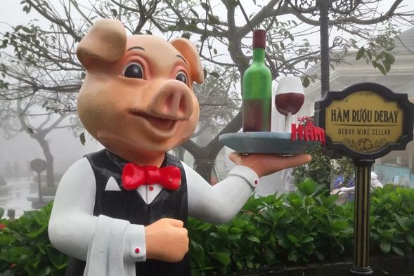 法國山城百年酒窖(贈送紅酒一杯/兒童贈果汁)