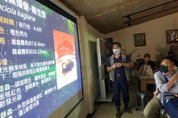 螢火蟲生態簡報