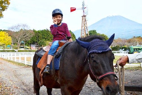 朝霧高原馬飼野牧場(含騎馬體驗)