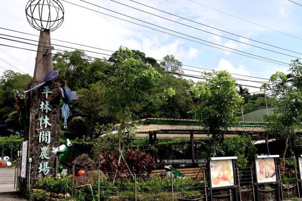 雙溪平林休閒農場