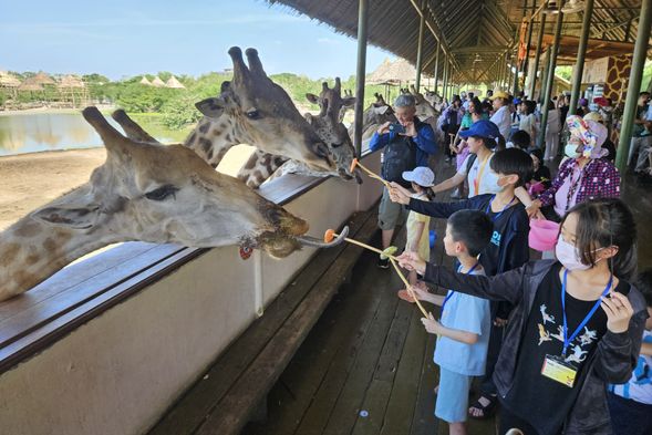塞福瑞野生動物園