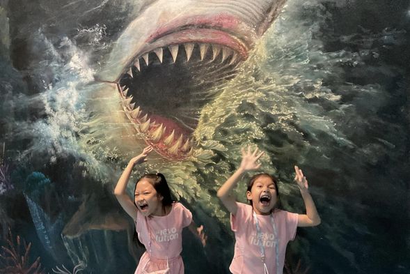 3D夢幻立體美術館