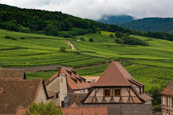 行駛法國亞爾薩斯酒鄉之路Route des Vins d'Alsace