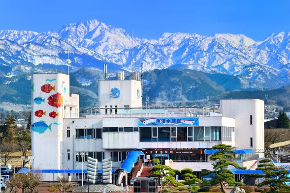 魚津水族館