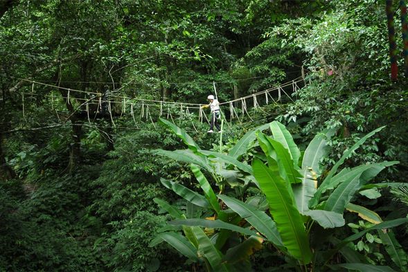 野猴子探索樂園