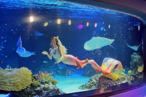 樂天世界水族館