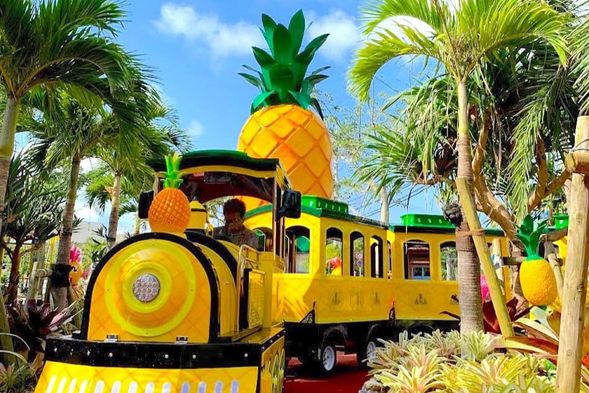 沖繩名護鳳梨園